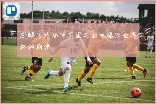 谢鹏飞终场冲突国足拒绝爆冷世界杯神剧情