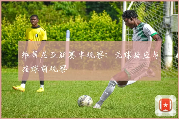 维蒂尼亚新赛季观察：无球接应与接球前观察